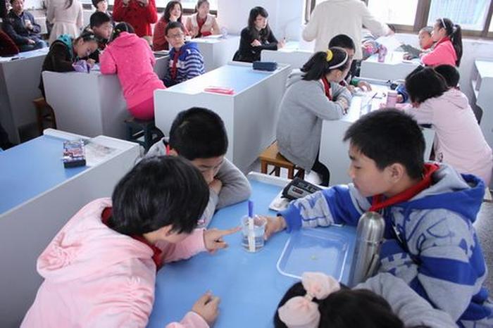 小学生用科技知识解决生活问题、小学生的科学问题有哪些