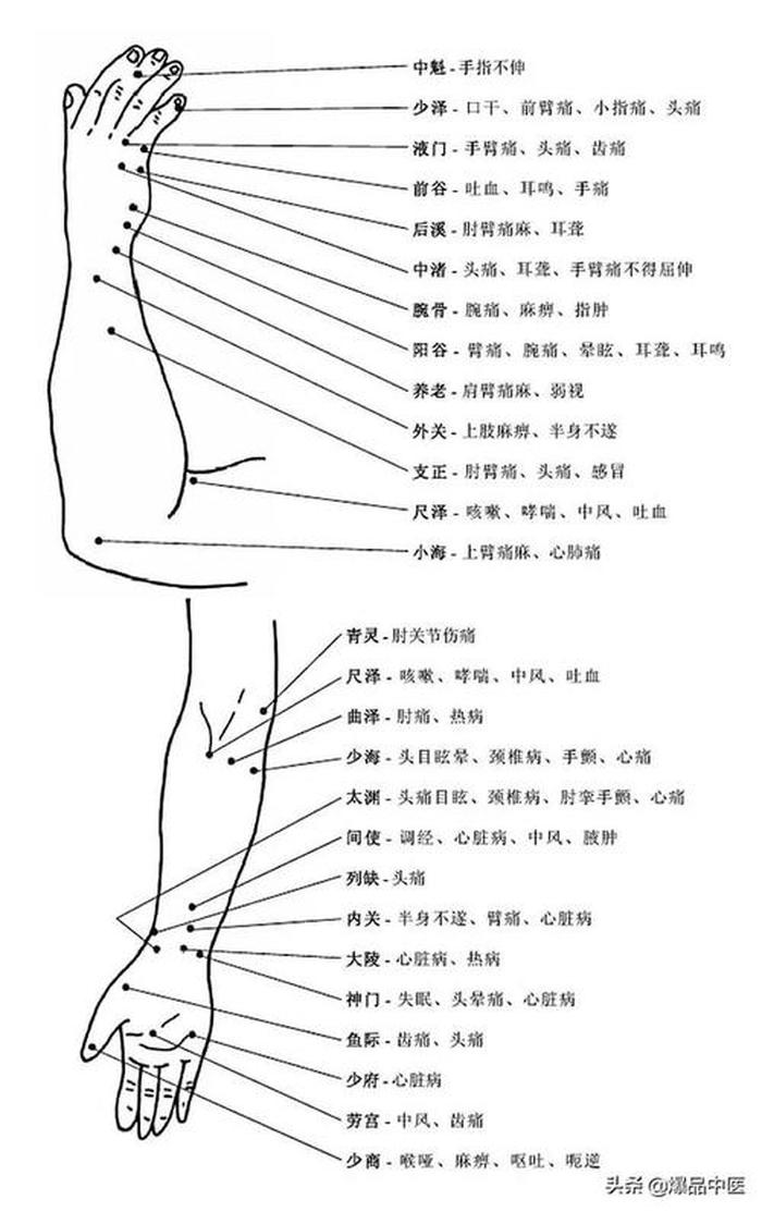 穴位知识100例、人体经络口诀