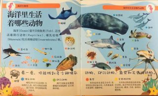 30个有趣的生物小知识图片 30个有趣的生物小知识