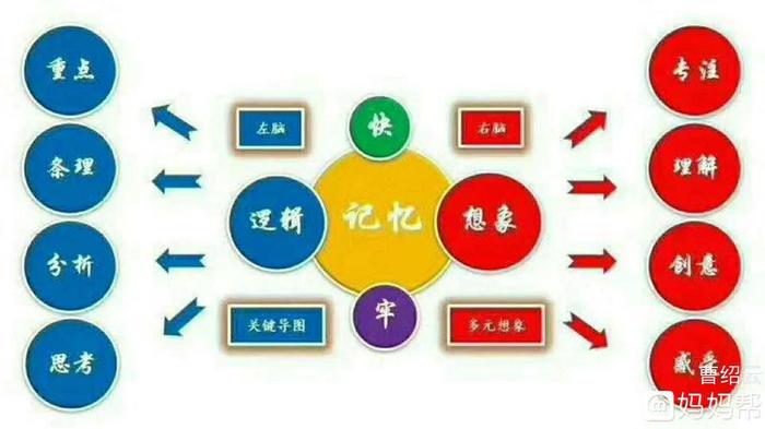 知识的本质是记忆 记忆存在的意义