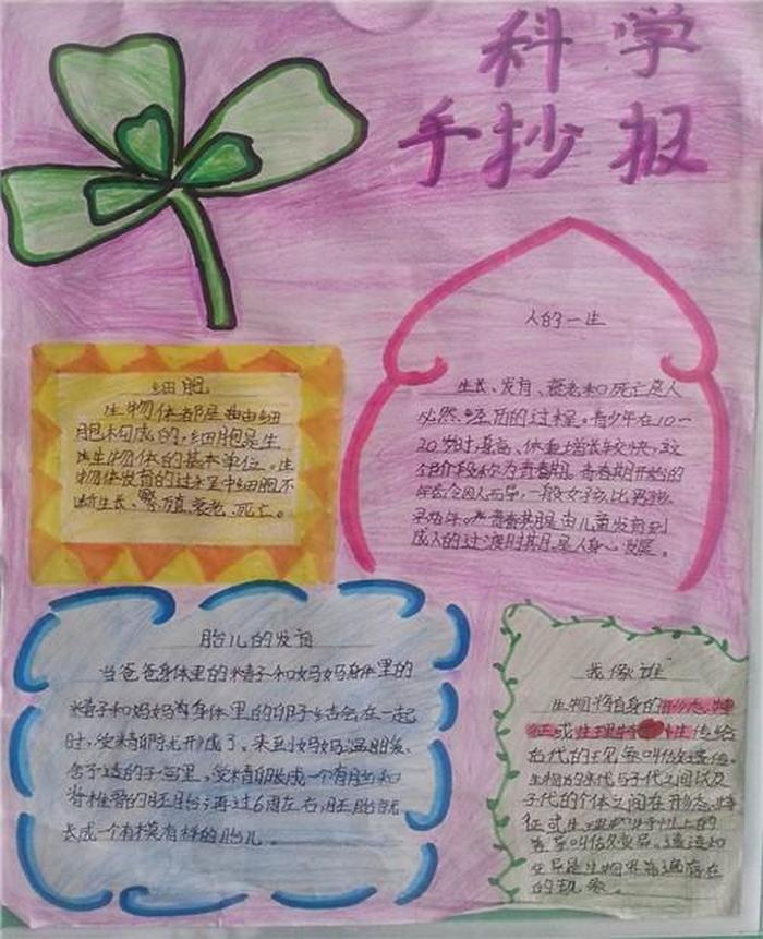 科学小知识有哪些简练的写下来，科学小知识大全