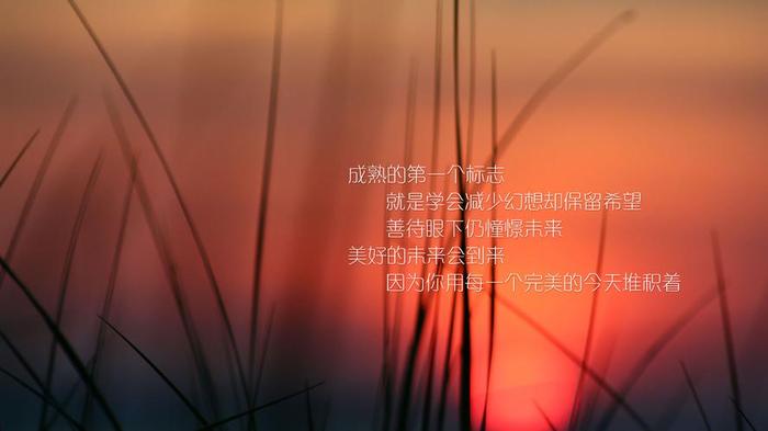 知识格言励志、关于知识的励志语录