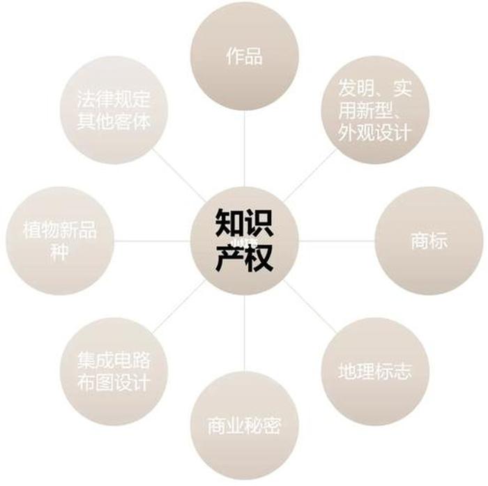知识产权的定义、知识产权的属性是什么