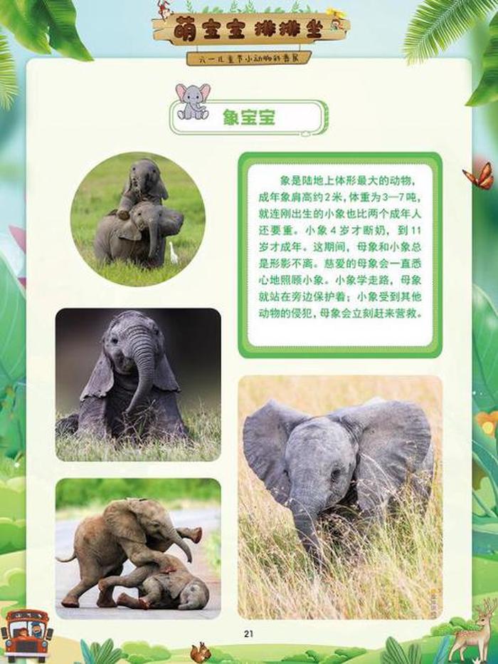 儿童动物科普小知识；幼儿动物科普小知识