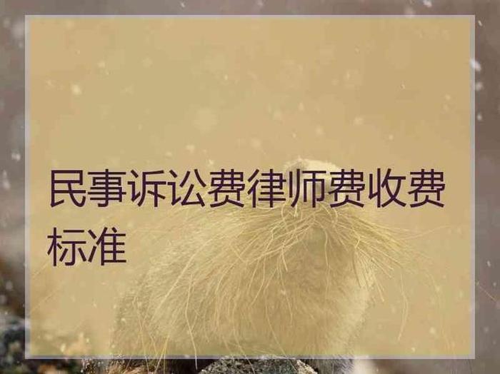 知识产权律师费收费标准；律师费如何收取