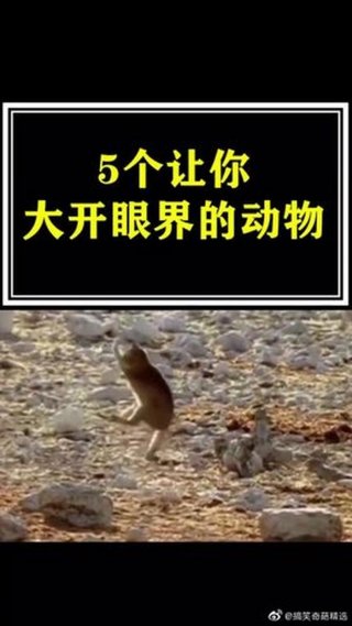 有趣的动物冷知识，关于动物的小知识