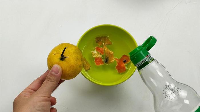 生活中的小妙招100种视频，生活小妙招有哪些实用
