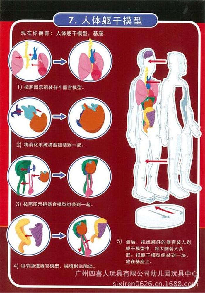 人体科学100个小知识 关于人体的科学知识