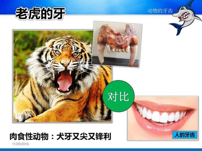 趣味动物科普小知识；科普知识大全