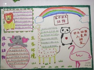 有趣的动物科普小知识手抄报、有趣的动物科普知识
