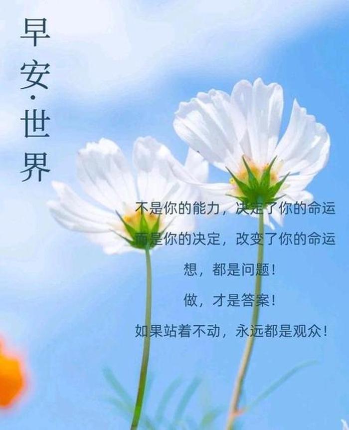 描写智者励志正能量的句子唯美；正能量句子励志短句子