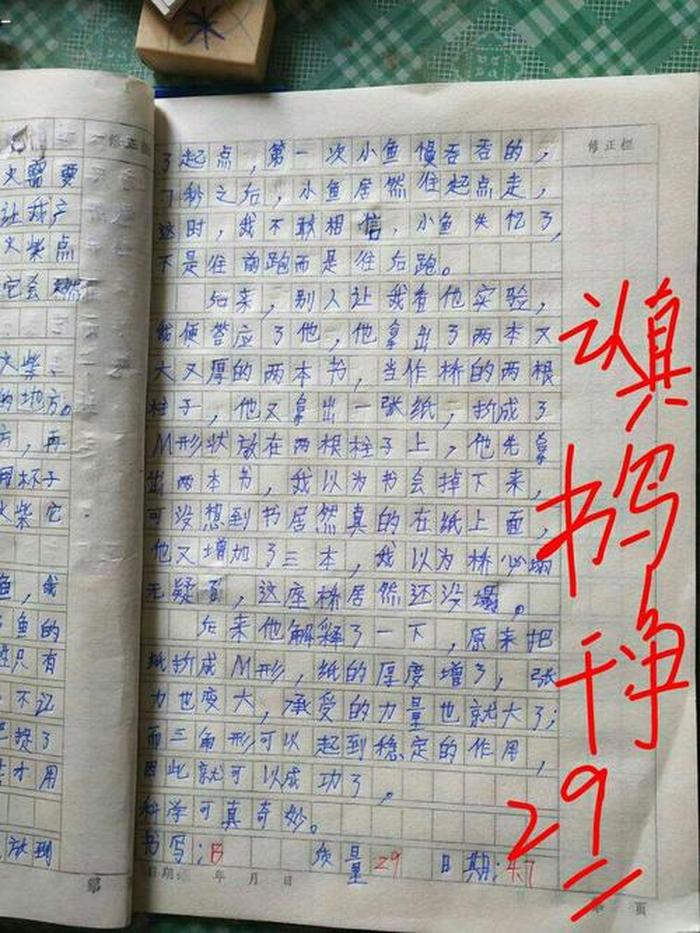 知识对人的重要性作文；知识和经验哪个更重要作文