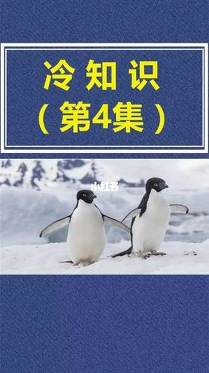 你不知道的10个冷知识是什么 - 史上最有用的冷知识