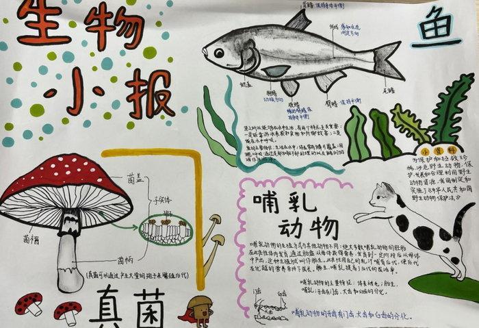 科普知识文章大全 - 生物科普知识大全