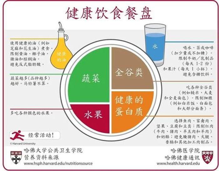 健康知识内容大全小学 - 健康饮食的十大原则