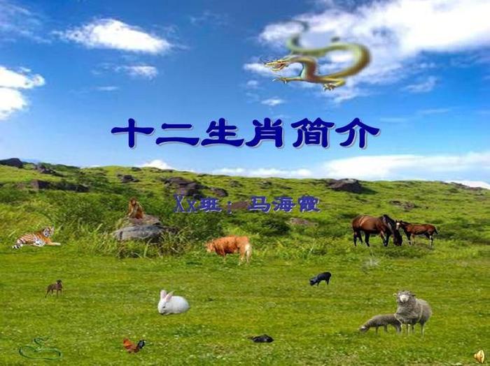 知识代表什么生肖作业帮 - 考试是什么生肖