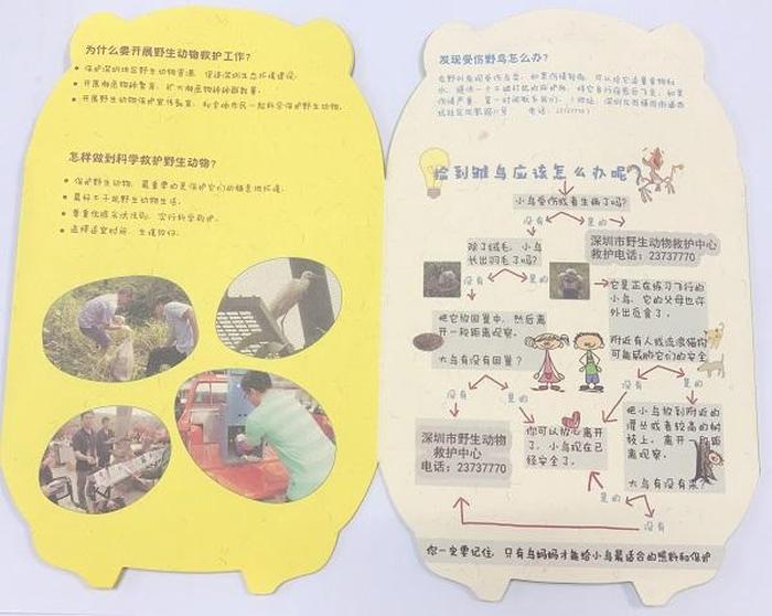 生活趣味小知识问答活动；知识小问答趣味