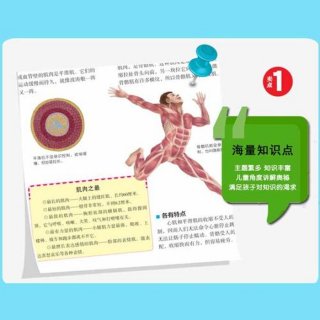 医学类小知识、日常医学常识大全