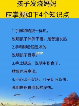 儿童生活小常识 小学生常识必考大全