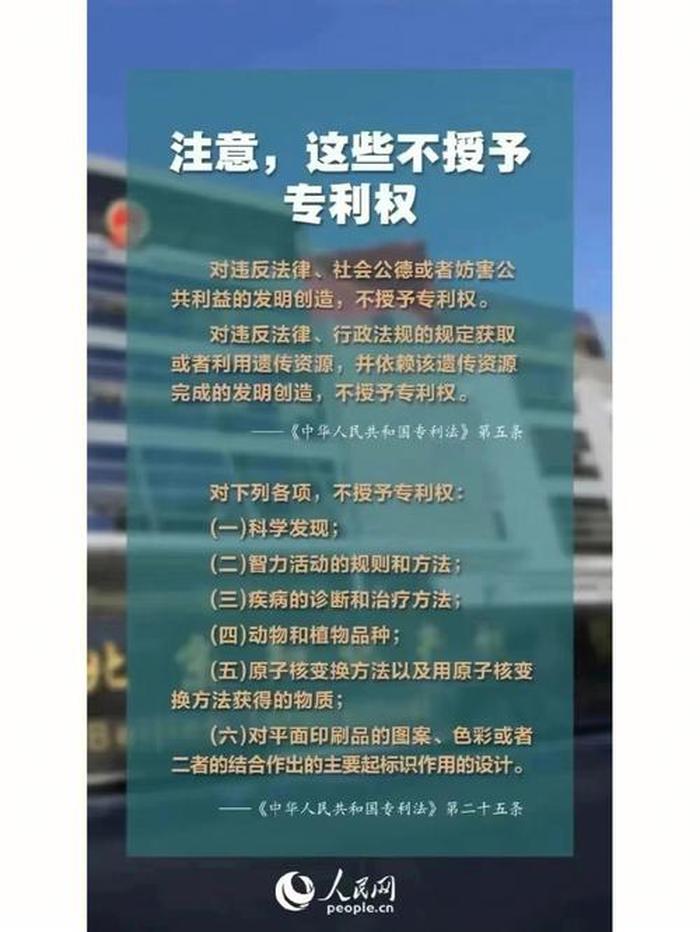 知识产权管理主要内容 - 知识产权服务包括哪些内容