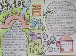 生活小百科手抄报；生活小百科100字