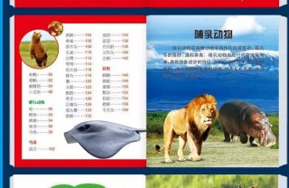 儿童动物科普知识大全、幼儿动物科普小知识