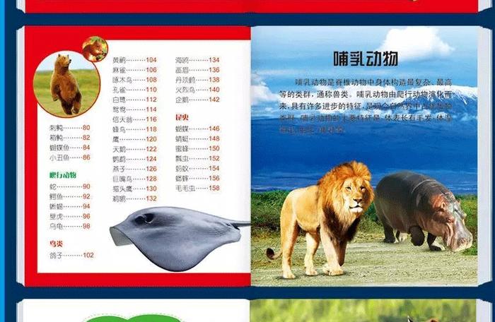 儿童动物科普知识大全、幼儿动物科普小知识