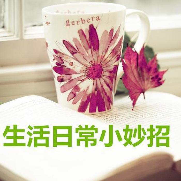 5个生活小妙招视频 - 日常生活小妙招视频