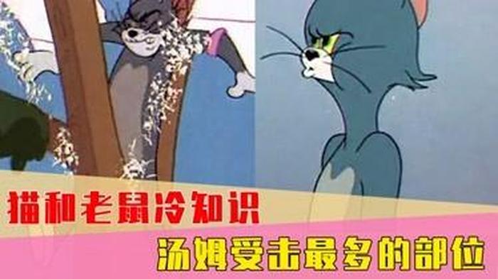猫和老鼠冷知识；猫和老鼠暗示