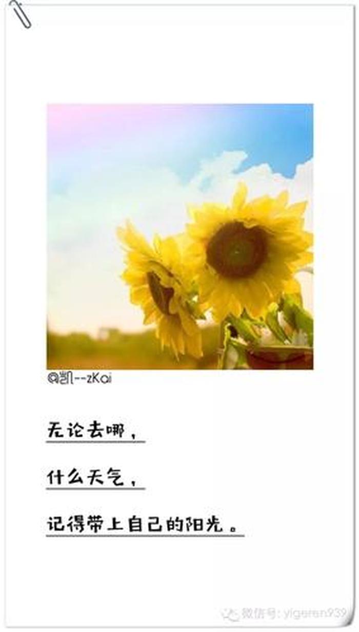 生活每日分享，每天分享生活的感悟