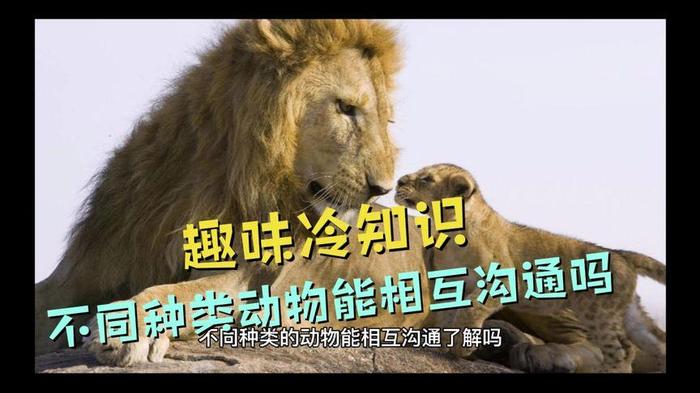 趣味冷知识大全小视频，生活趣味冷知识