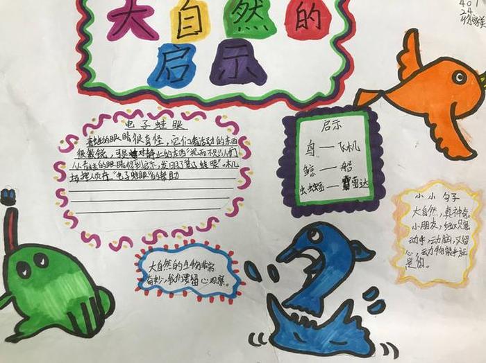 大自然科普知识大全手抄报；健康科普知识大全