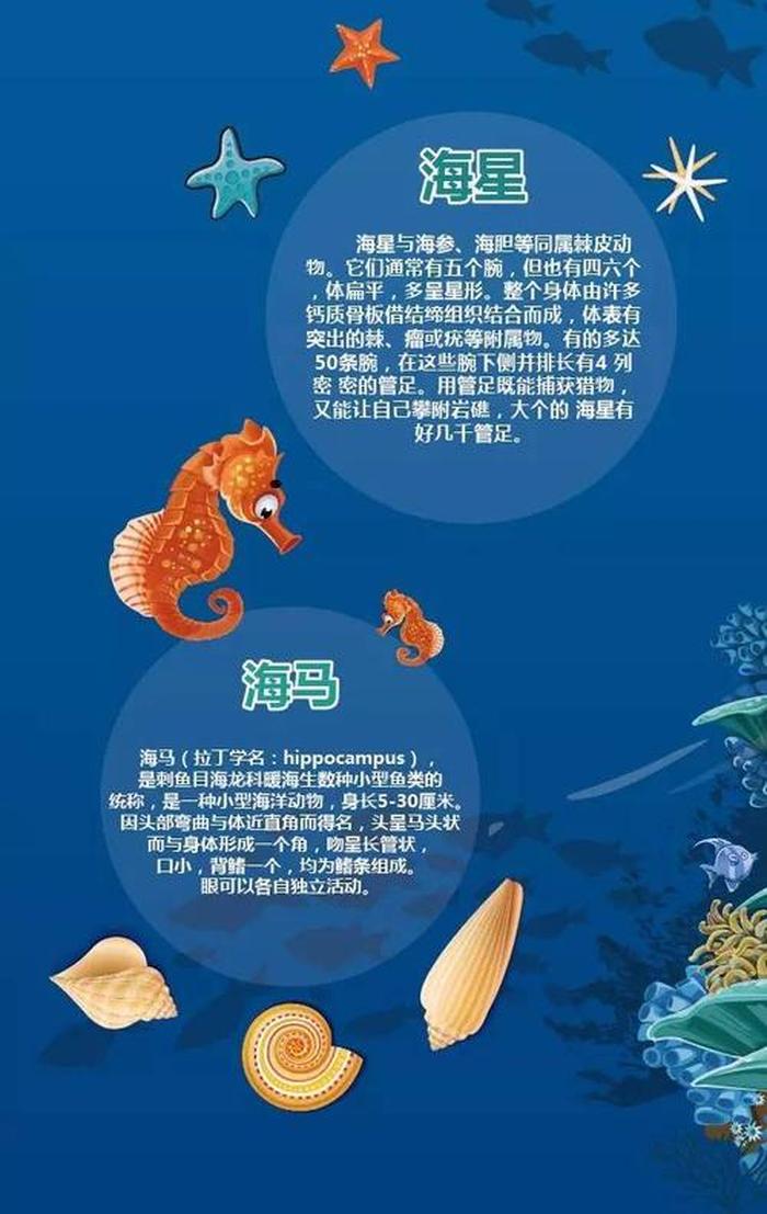 科技科普知识主题 海洋科普知识资料大全