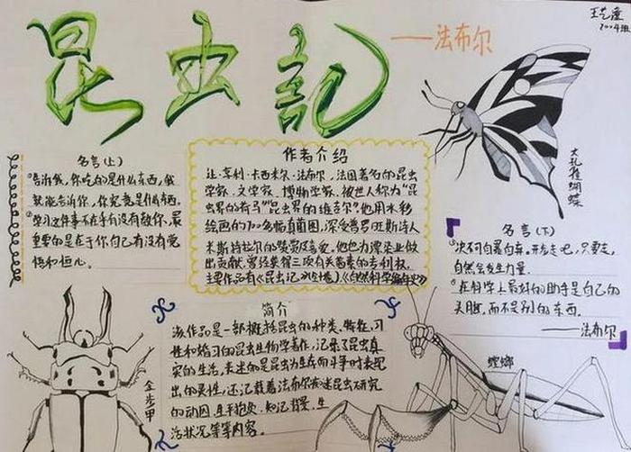 昆虫记谈谈你对知识的理解，通过昆虫记,我学到的什么