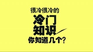 冷知识大全视频 - 冷知识小视频