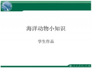 海洋科普小知识(简单) 海洋的基本常识