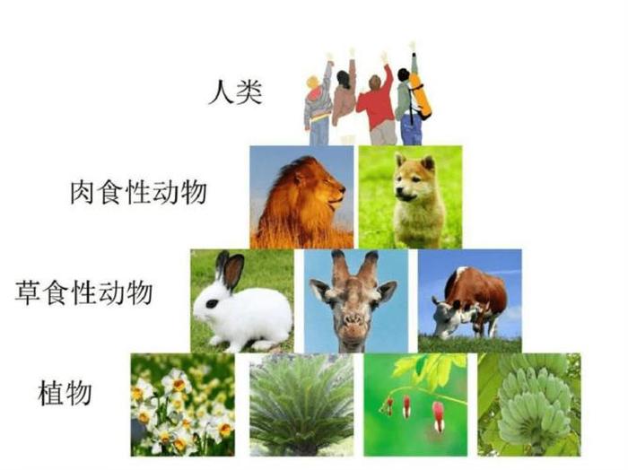 大自然科普知识大全简短版 - 大自然科普知识的资料