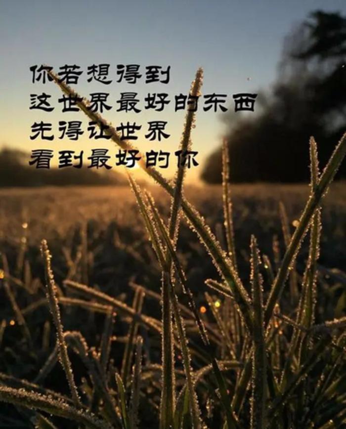 关于知识的励志语录短句，激励人心的句子
