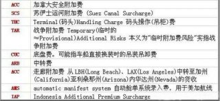 国际海运最基本常识 国际海运价格表
