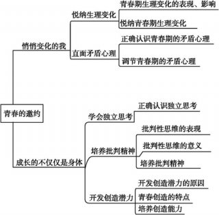 知识的理解类型与过程，知识应用的一般过程