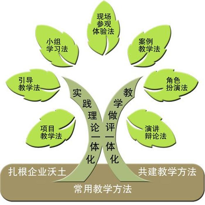知识包括哪些方面内容；教学内容包括什么
