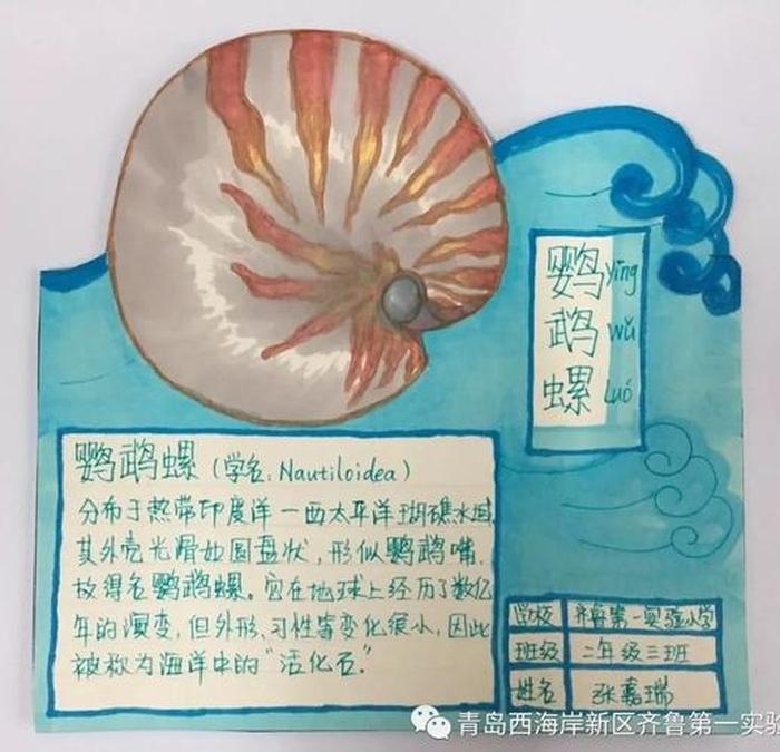 每日科普知识、科普知识卡片 简单