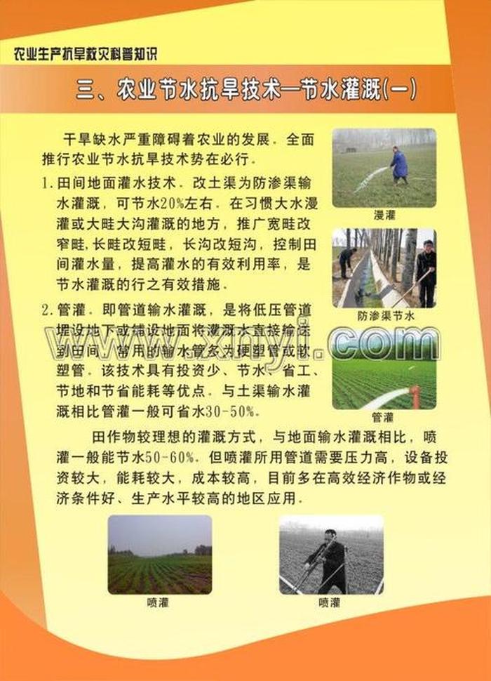 有趣的科普小知识讲解15分钟，有趣的农业科普小知识