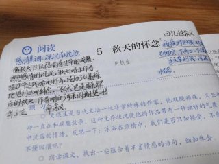 什么的知识形容词，什么样的语文课堂