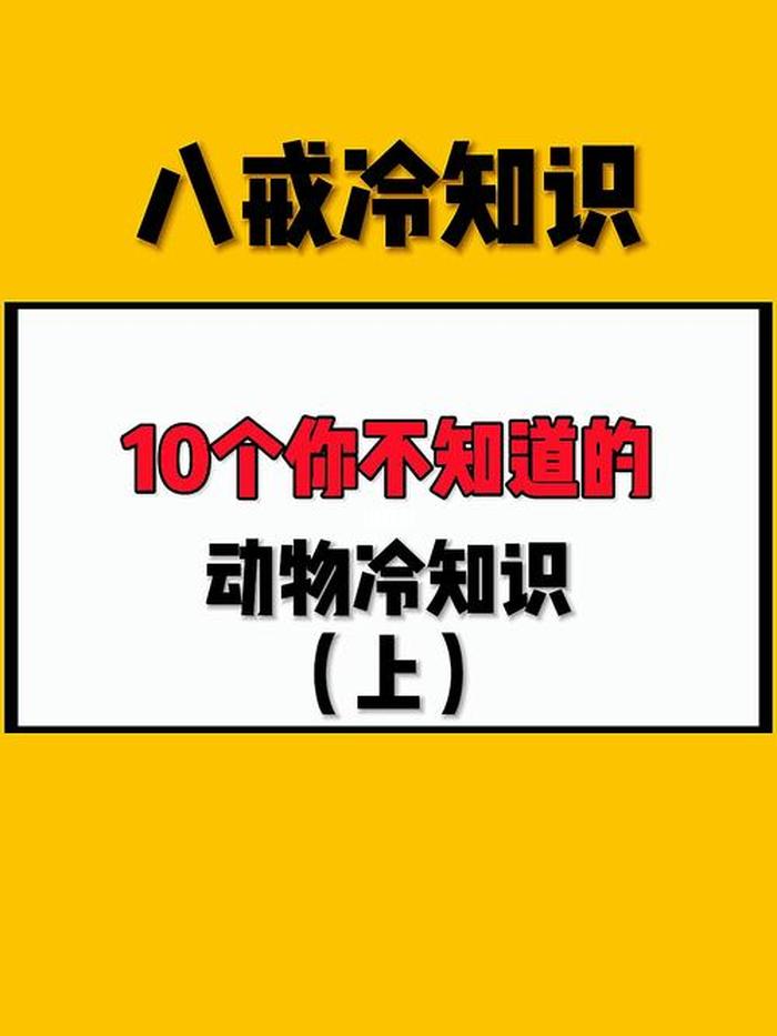 不为人知的冷知识挑战 世界上你不知道的冷知识