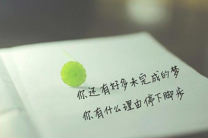 关于知识的经典语句，让知识充实自己,丰富大脑