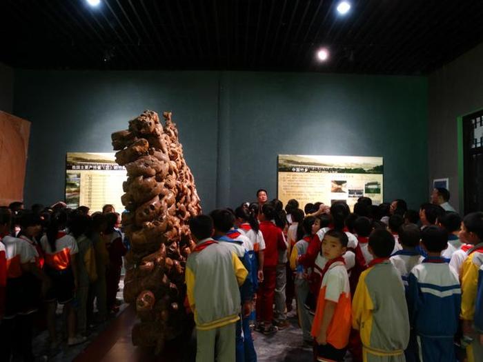 青少年科普教育基地申请、林石嘴青少年科普教育基地