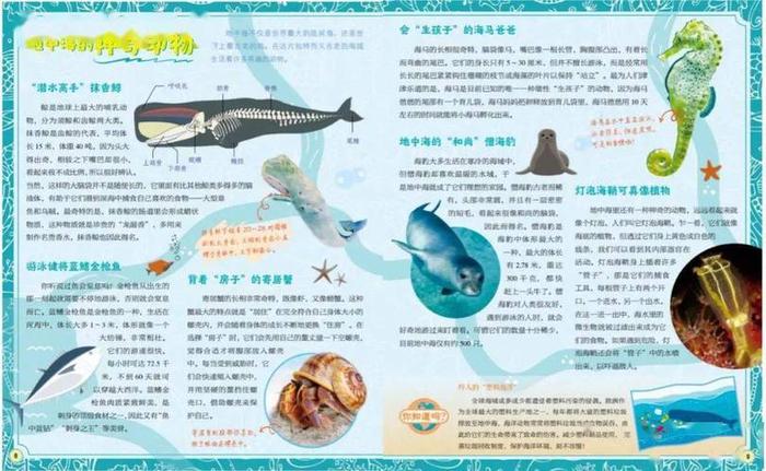 趣味的科学小知识；地理趣味小知识