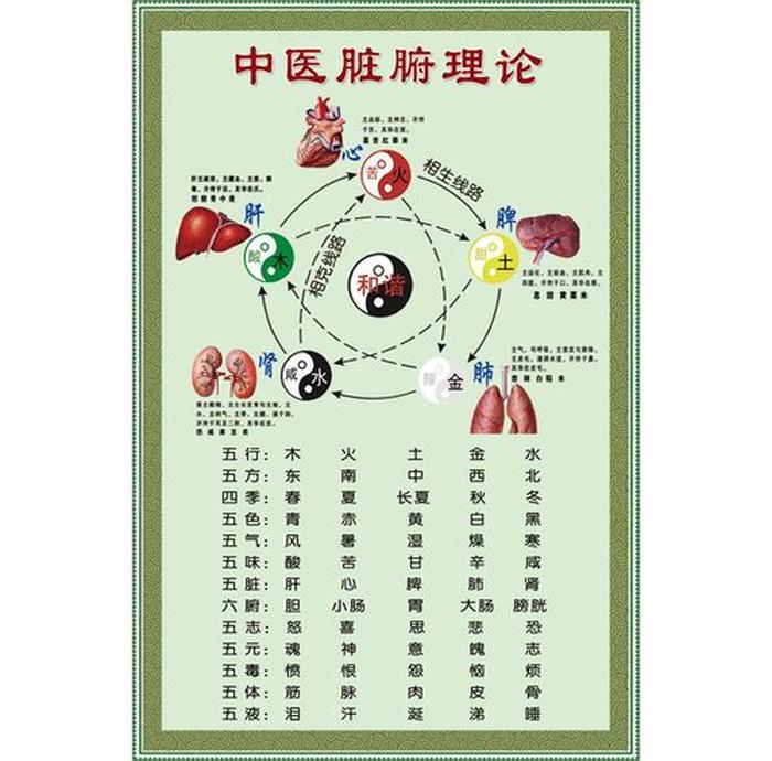中医五脏六腑养生知识 怎么调节自己五脏六腑