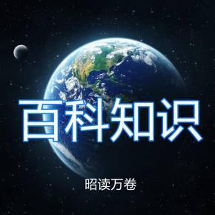 百科知识网站 - 最全的百科知识大全